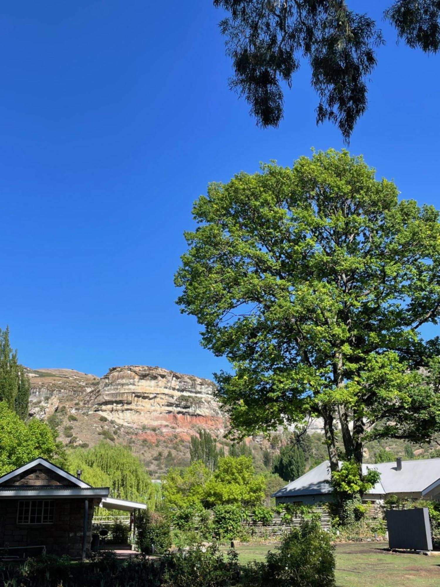 Periwinkle, Grove ,Acorn & Sage Cottages Clarens Esterno foto