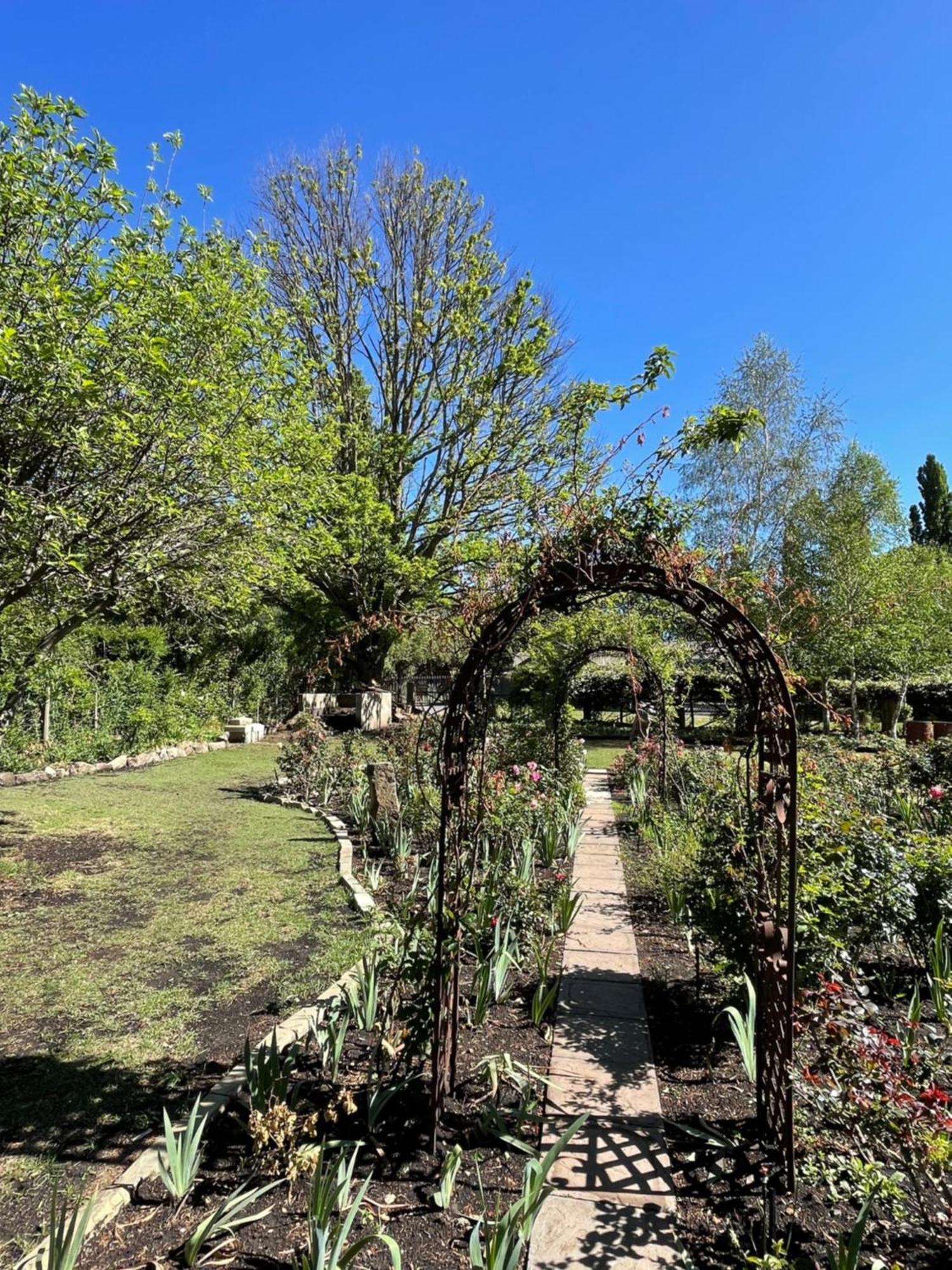 Periwinkle, Grove ,Acorn & Sage Cottages Clarens Esterno foto