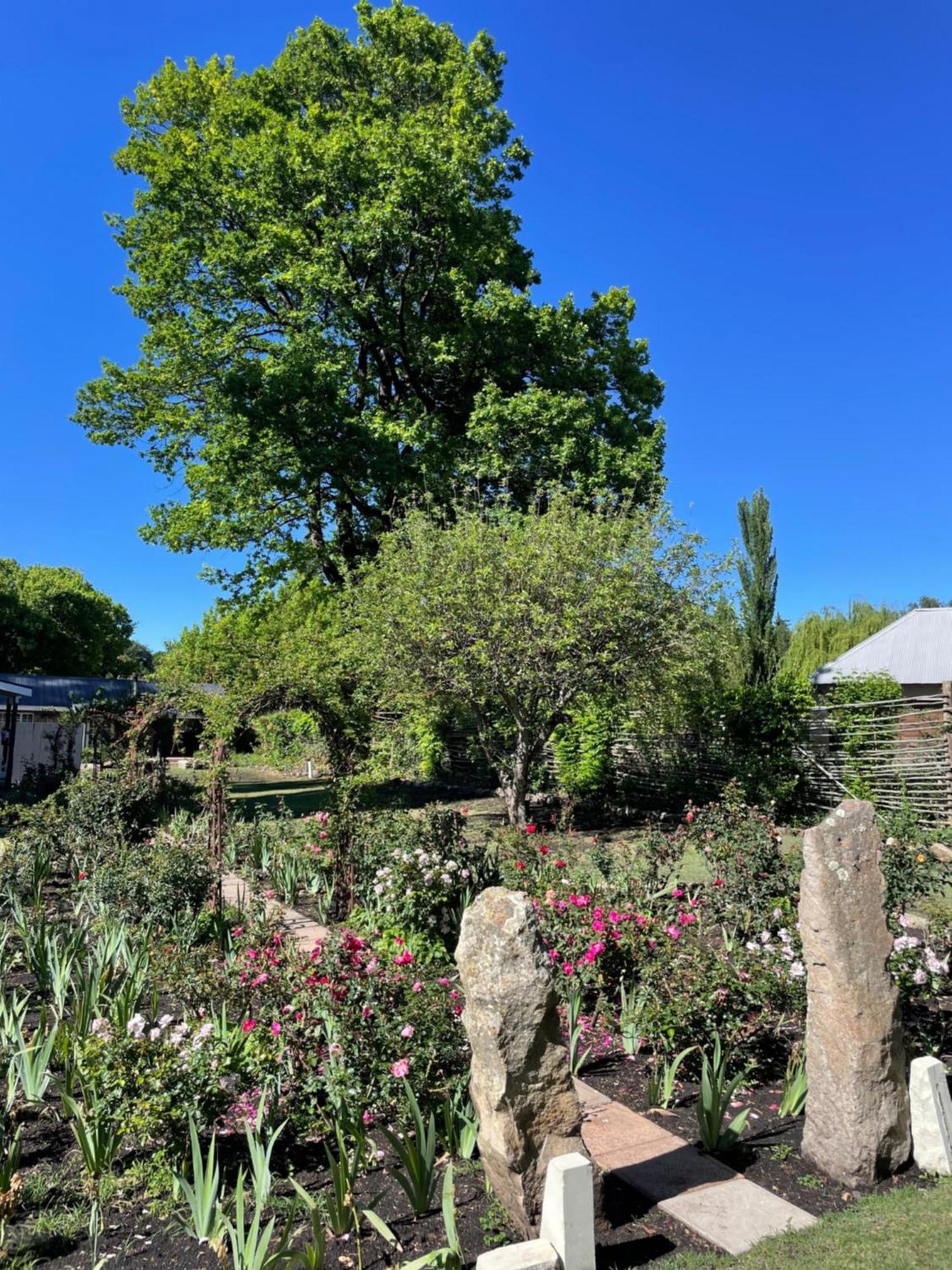 Periwinkle, Grove ,Acorn & Sage Cottages Clarens Esterno foto