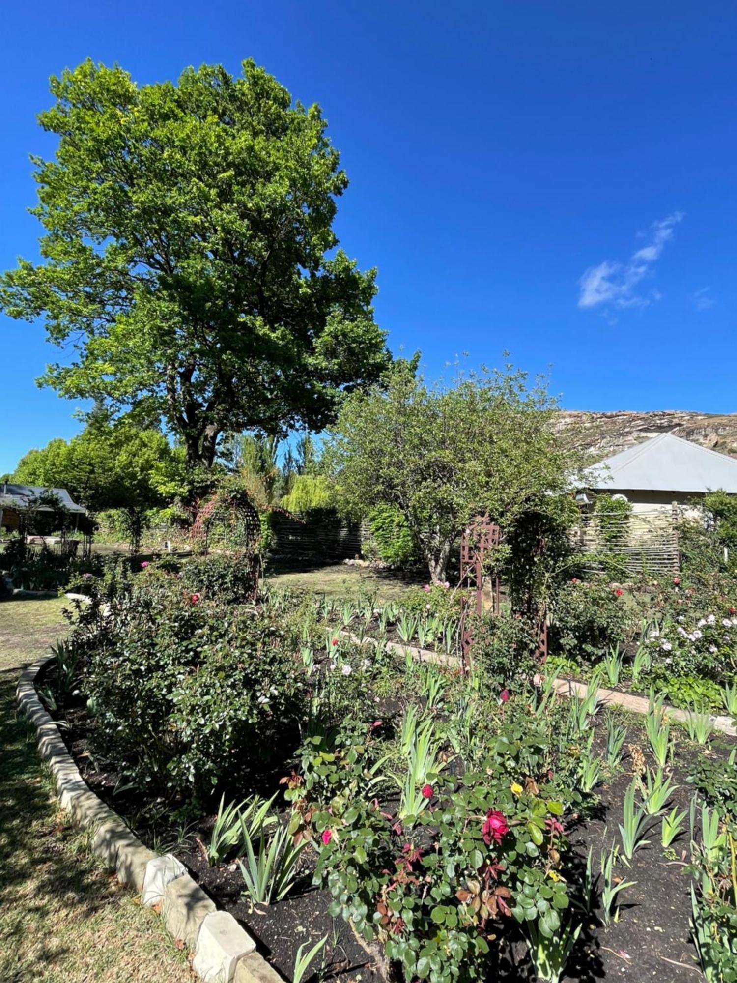 Periwinkle, Grove ,Acorn & Sage Cottages Clarens Esterno foto