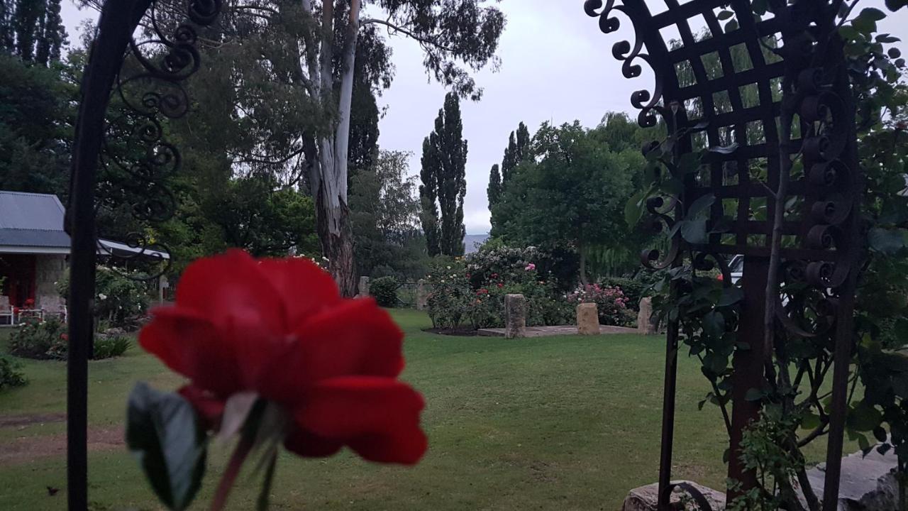 Periwinkle, Grove ,Acorn & Sage Cottages Clarens Esterno foto