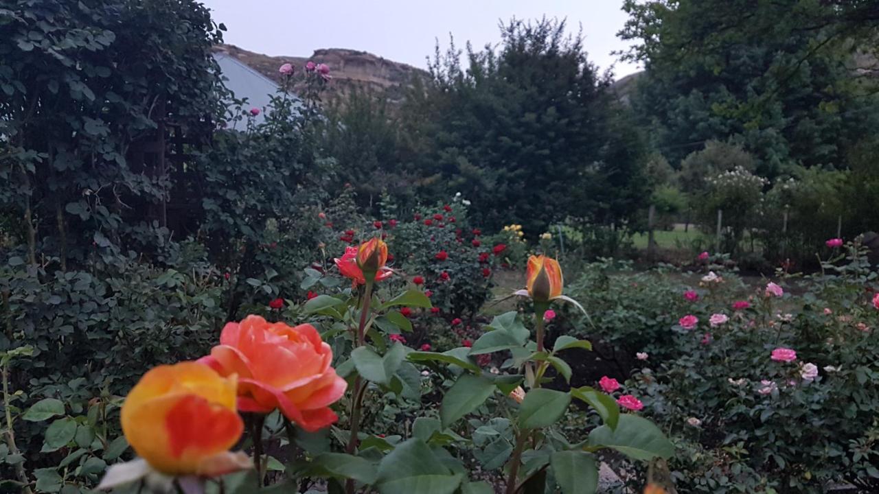 Periwinkle, Grove ,Acorn & Sage Cottages Clarens Esterno foto